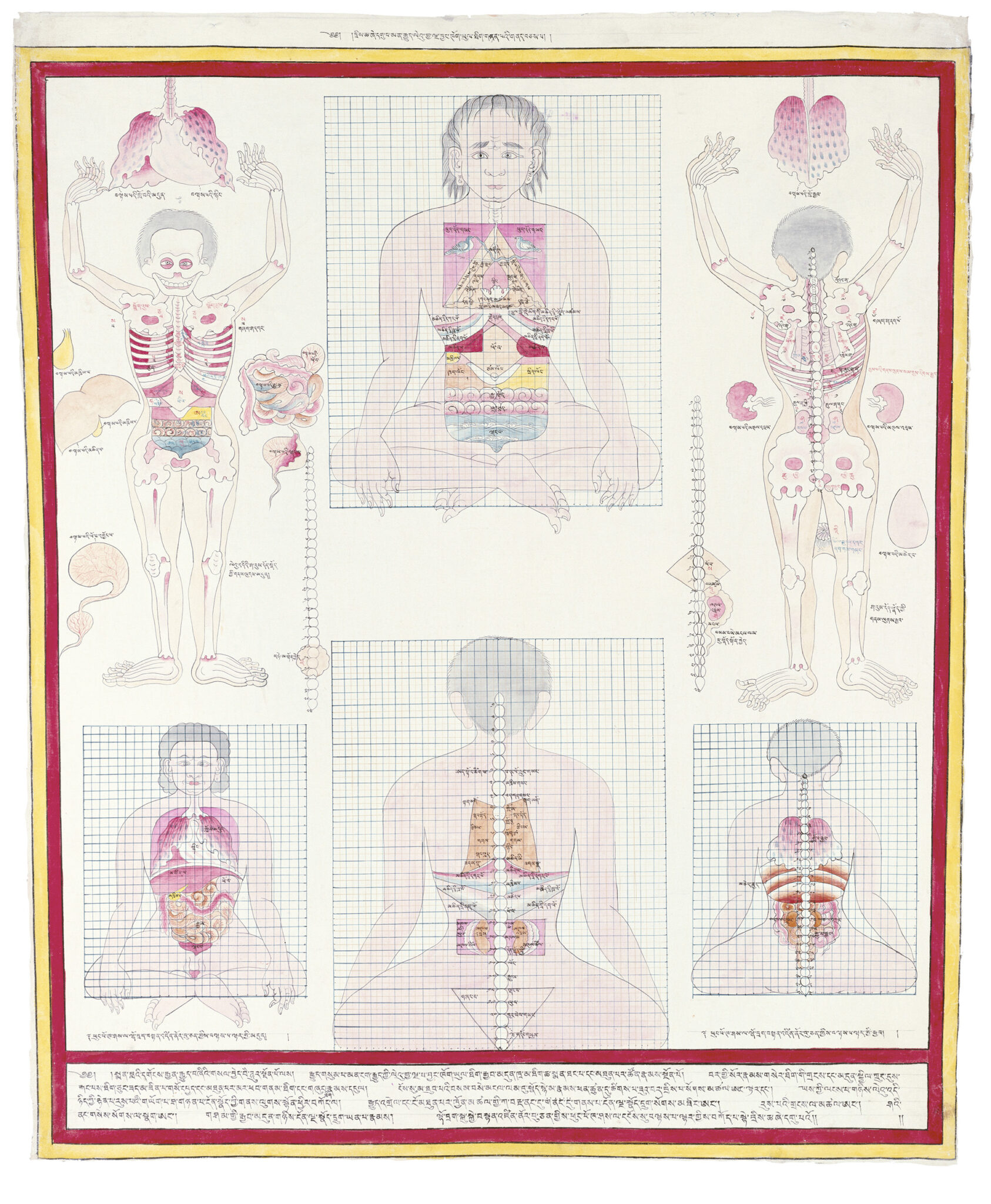 Six figures depicting different aspects of human anatomy; four figures overlaid with grid pattern