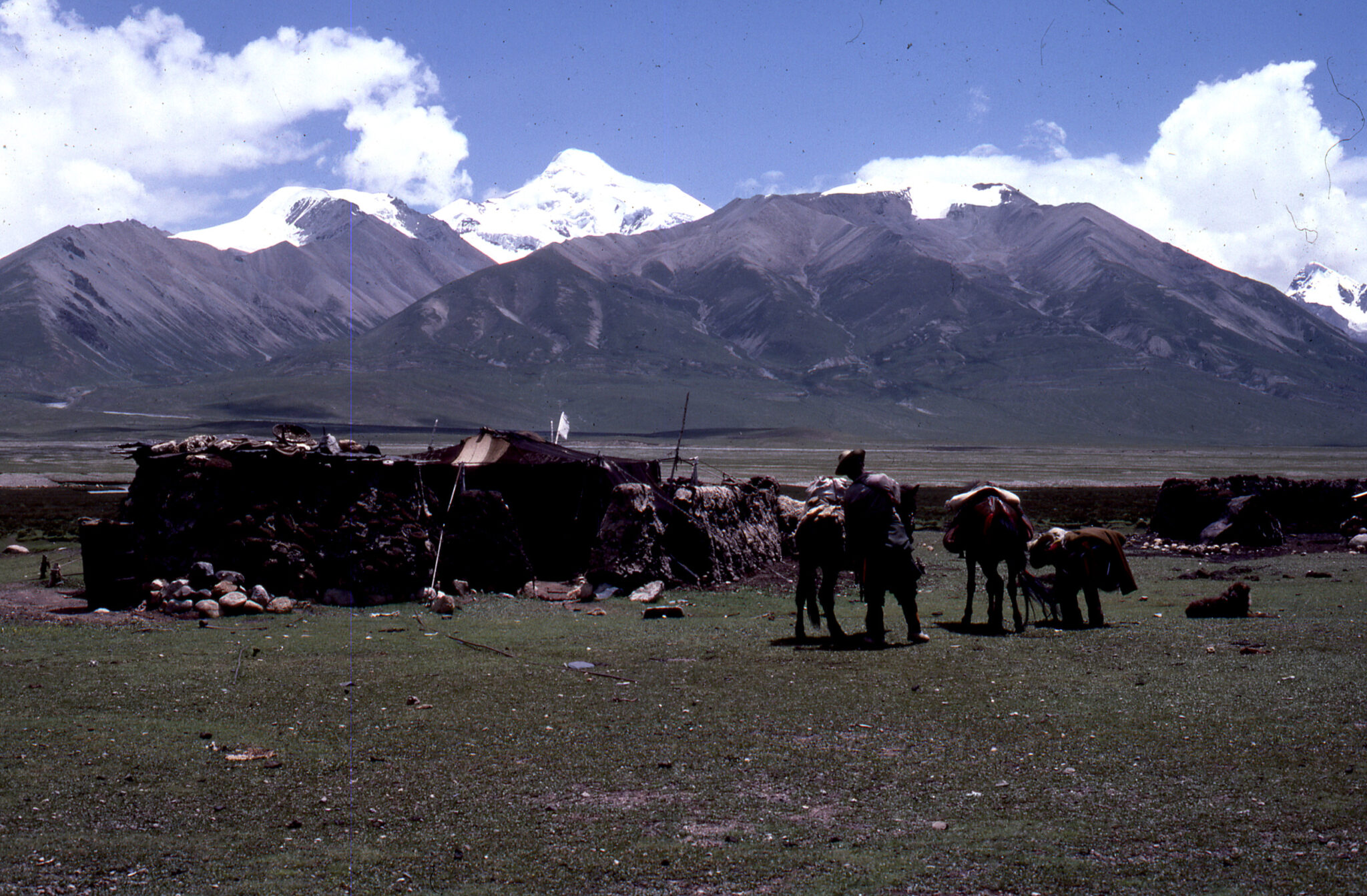 Two people tend to horses beside low-slung camp structures; snowcapped mountain range in background
