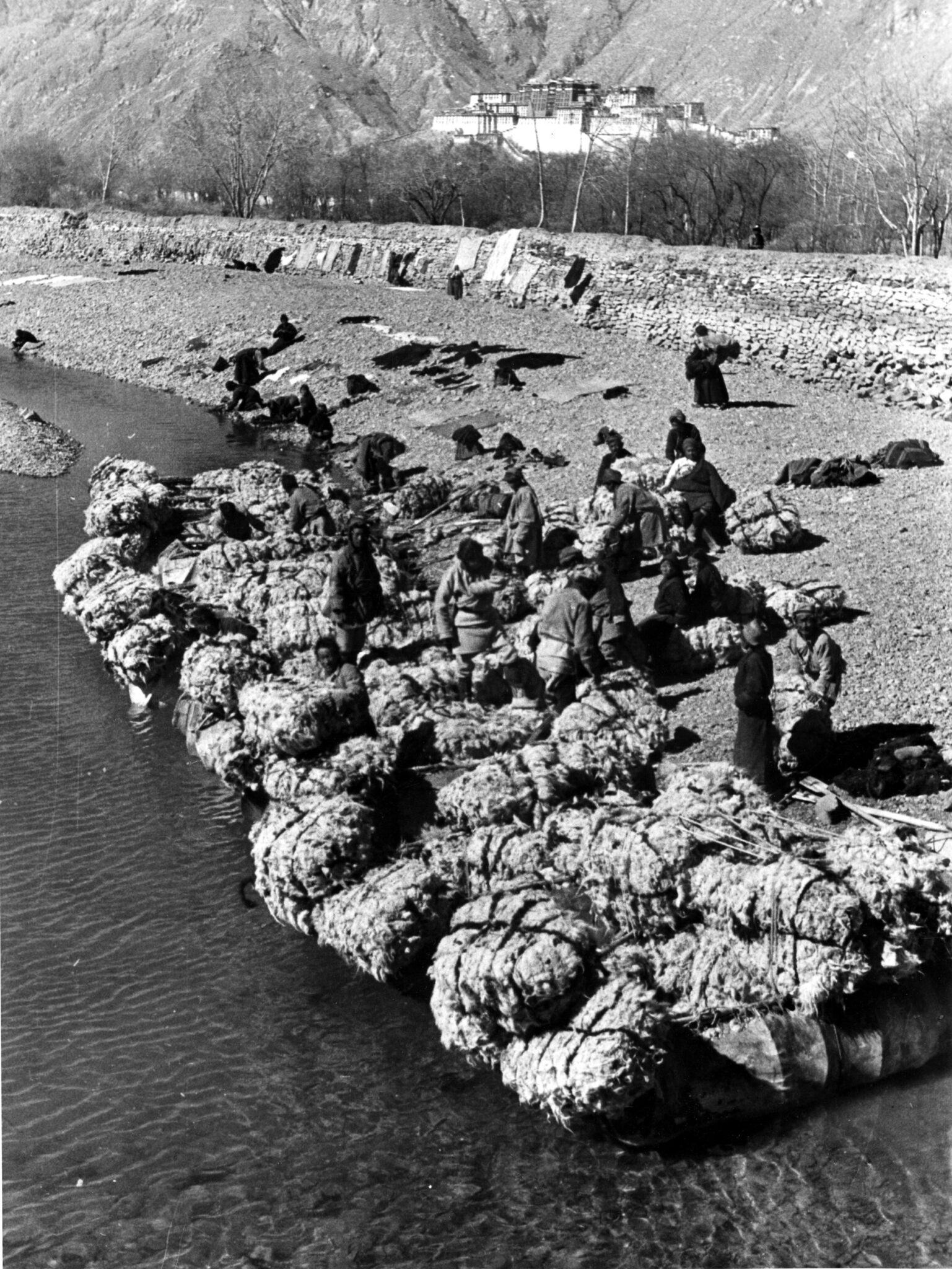 Black and white photograph of people inspecting collection of wool bales floating on water at shoreline