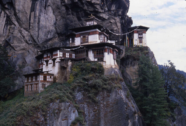 Complex of religious buildings with irregular roofline and golden tower clings to mountainside above forested landscape