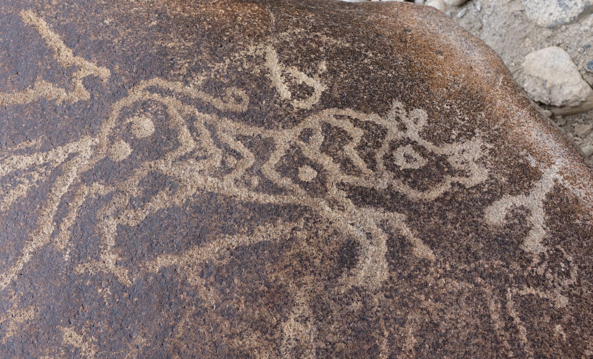 Depiction of animal decorated with geometric forms carved onto craggy brown boulder